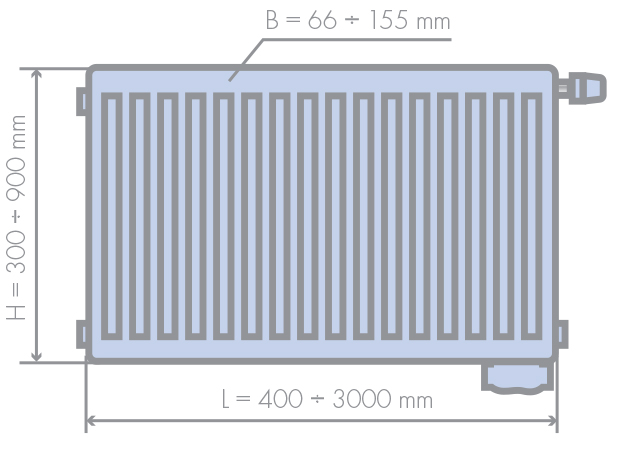 briezinis radik rc vku